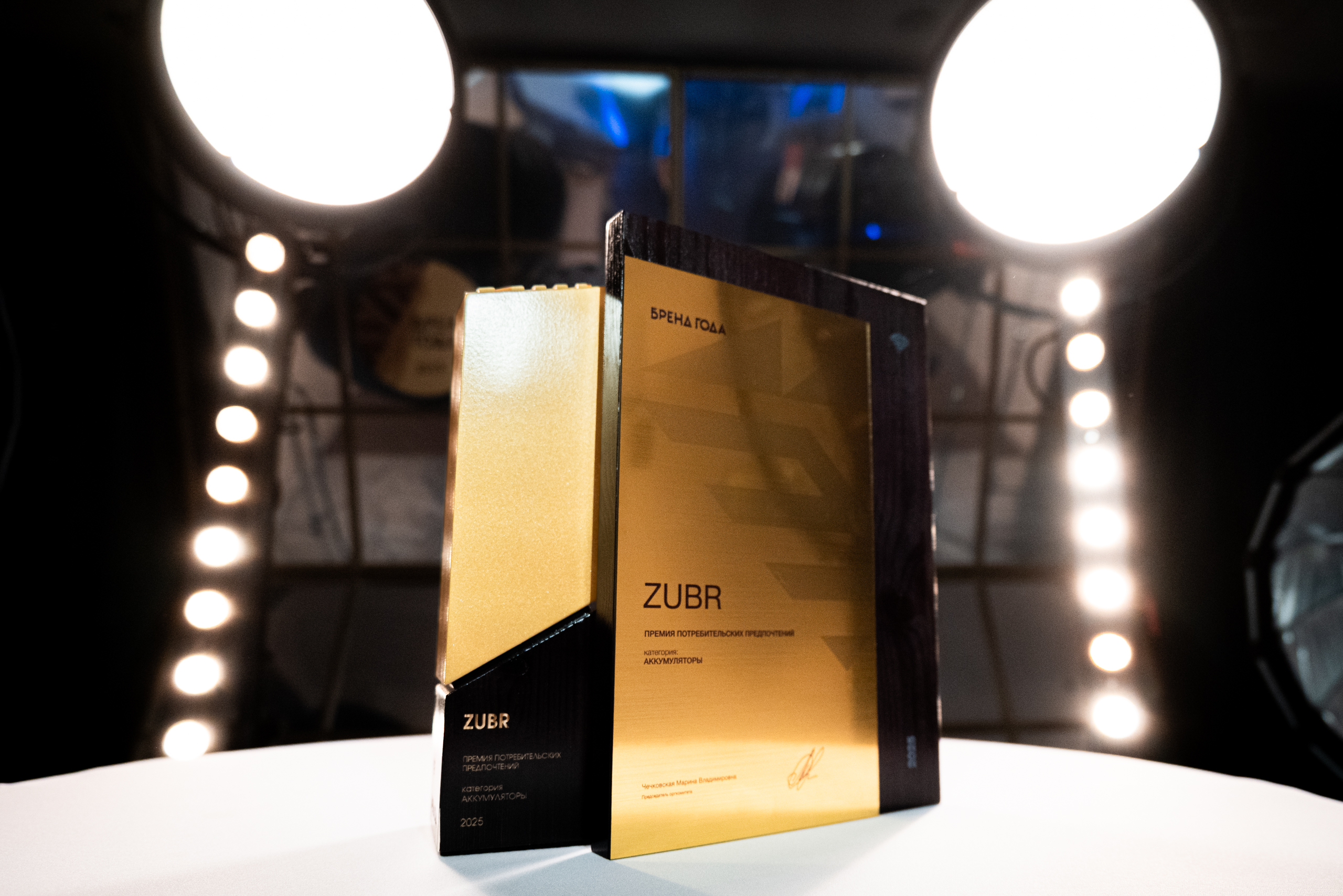 ZUBR — “Brand of the Year 2025”: Gold Medal in the “Batteries” Category - 1
